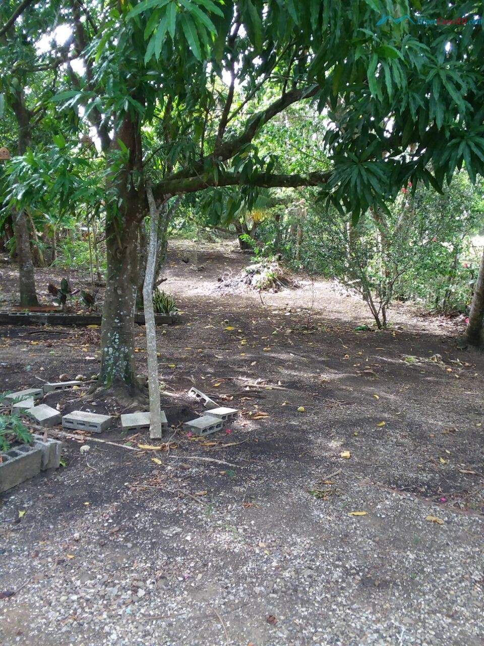 CASA CON PATIO Y ARBOLES - Hipercasas